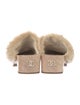 Chanel Interlocking CC Logo Shearling Mules