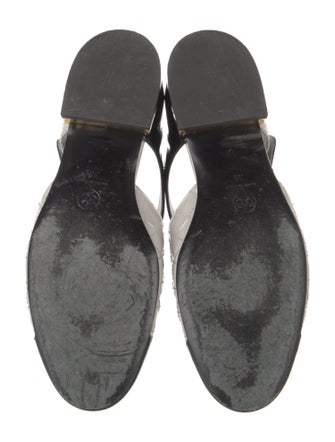 Chanel 2022 Interlocking CC Logo Mary Jane Flats