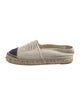 Chanel Interlocking CC Logo Canvas Espadrilles