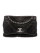 Chanel Large Natural Beauty Flap Bag