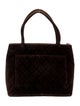 Chanel Velvet Medallion Tote