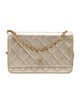 Chanel Classic Quilted Wallet On Chain