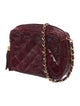 Chanel Mini Tassel Lizard Camera Bag