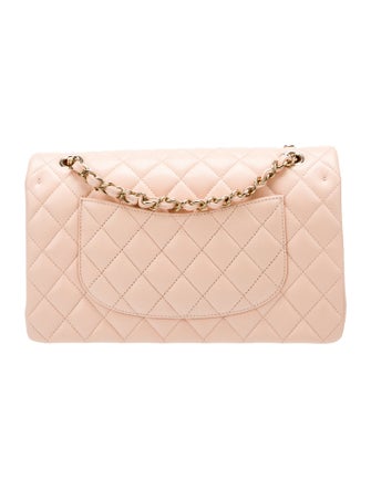 Chanel Classic Medium Double Flap Bag