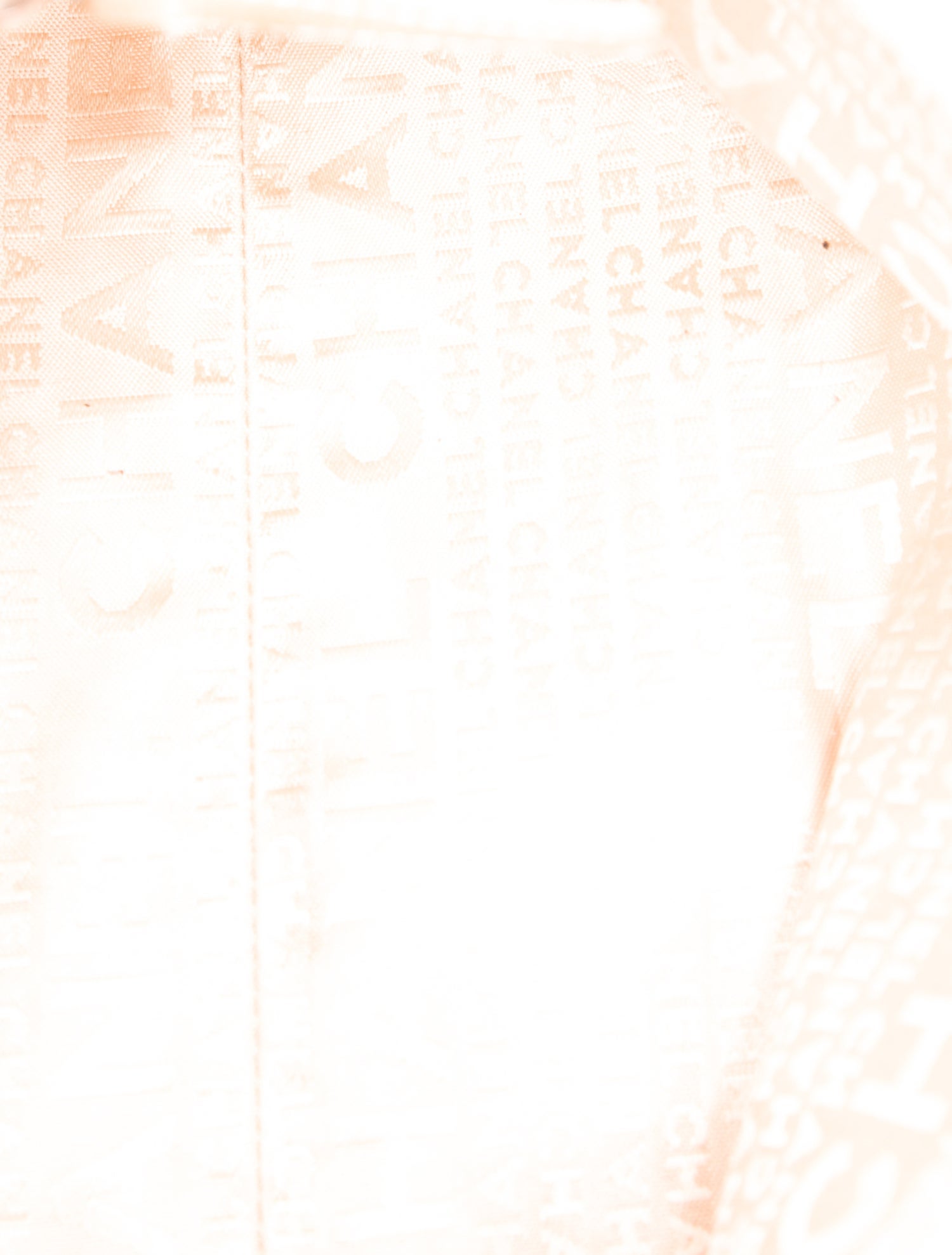 Chanel LAX Accordion Shoulder Bag