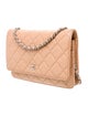 Chanel Classic Quilted Wallet On Chain