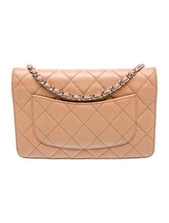 Chanel Classic Quilted Wallet On Chain