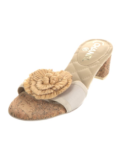 Chanel 2012 Interlocking CC Logo Slides