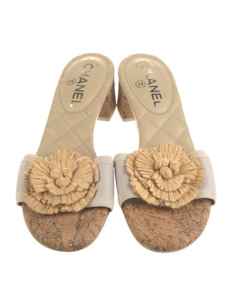 Chanel 2012 Interlocking CC Logo Slides