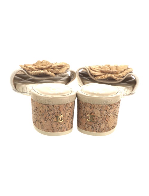 Chanel 2012 Interlocking CC Logo Slides