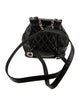 Chanel Small Duma Backpack