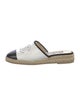 Chanel 2023 Interlocking CC Logo Espadrilles