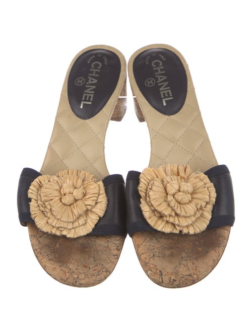 Chanel 2012 Interlocking CC Logo Slides