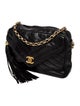 Chanel Chevron Bijoux Camera Bag