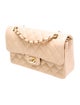 Chanel Classic Medium Double Flap Bag