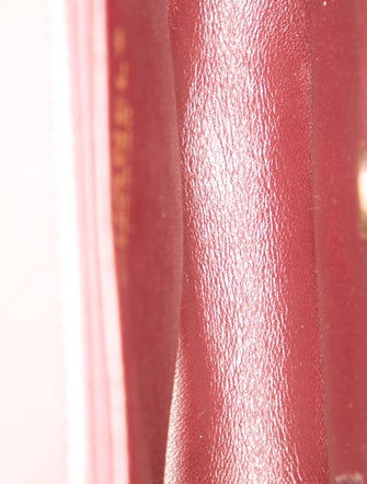 Chanel Mini Two-Tone Day Flap Bag