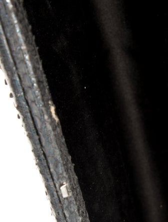 Chanel Python CC Frame Clutch On Chain