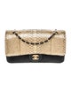 Chanel Classic Medium Python Double Flap Bag