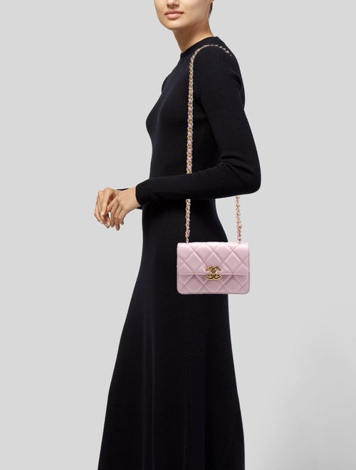 Chanel Quilted CC Flap Bag