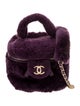 Chanel Shearling Small Vanity Case