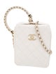 Chanel Quilted Chain Handle Bag