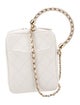 Chanel Quilted Chain Handle Bag
