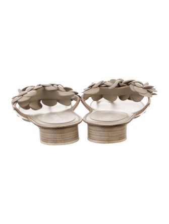 Chanel 2014 Interlocking CC Logo Slides