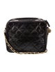 Chanel Quilted Lizard Camera Bag