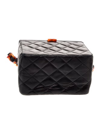 Chanel Tortoise Box Bag