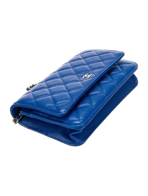 Chanel Classic Quilted Wallet On Chain