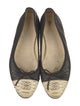 Chanel Interlocking CC Logo Python Ballet Flats