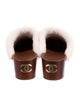 Chanel 2023 Coco Neige Mules