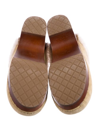 Chanel 2023 Coco Neige Mules