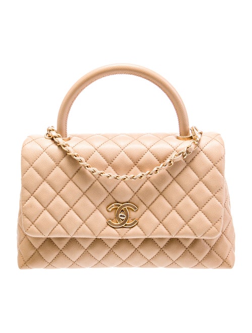 Chanel Small Python-Trimmed Coco Handle Bag
