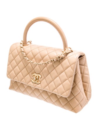 Chanel Small Python-Trimmed Coco Handle Bag