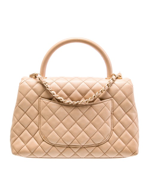 Chanel Small Python-Trimmed Coco Handle Bag