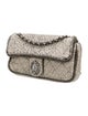 Chanel Medium Leo Lion Flap Bag