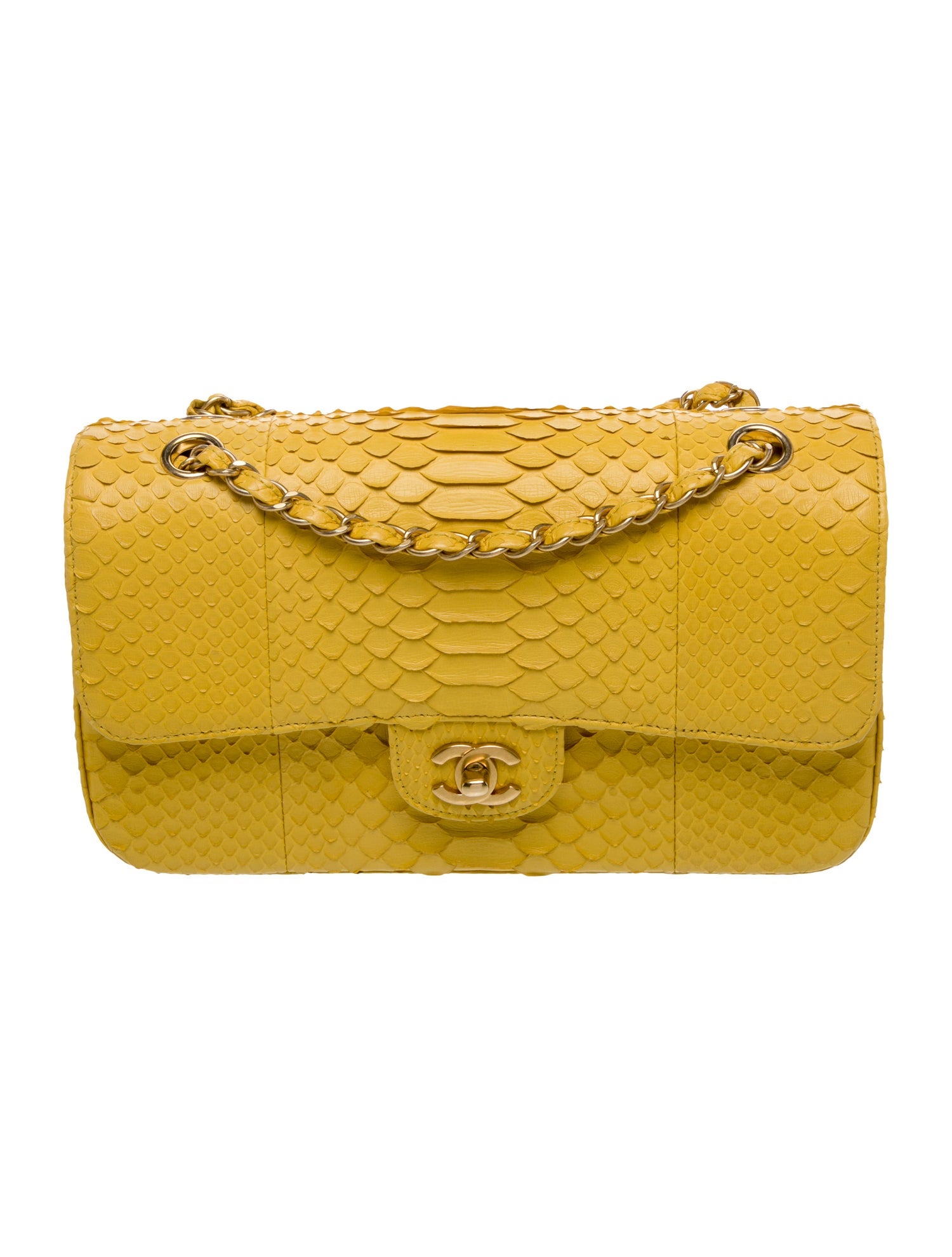 Chanel Classic Medium Python Double Flap Bag