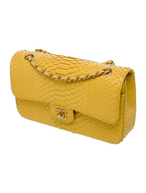 Chanel Classic Medium Python Double Flap Bag