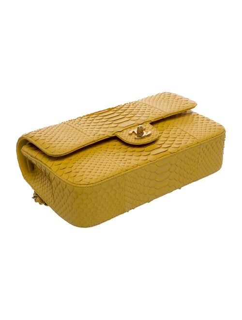 Chanel Classic Medium Python Double Flap Bag