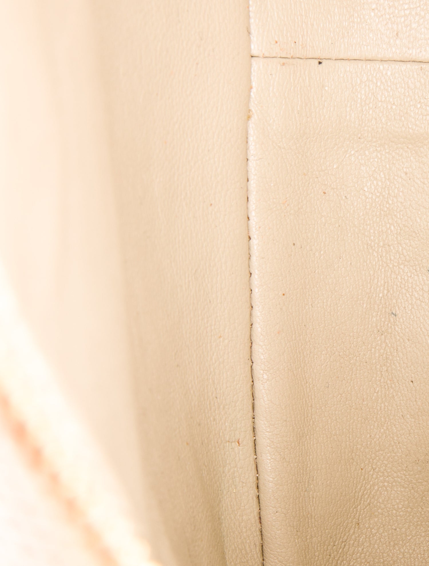 Chanel Lizard Tassel Camera Case