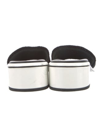 Chanel 2024 Printed Slides