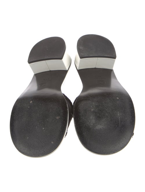 Chanel 2024 Printed Slides