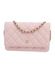 Chanel Classic Quilted Wallet On Chain
