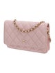 Chanel Classic Quilted Wallet On Chain