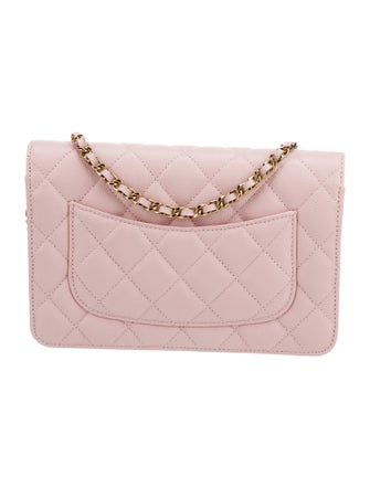 Chanel Classic Quilted Wallet On Chain