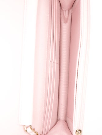 Chanel Classic Quilted Wallet On Chain