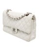 Chanel Classic Medium Double Flap Bag
