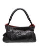 Chanel Python Yacht Expandable Hobo