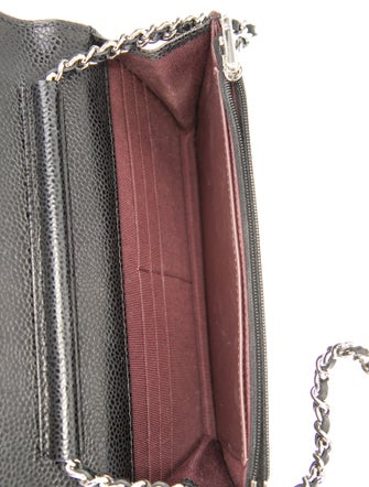 Chanel Classic Quilted Wallet On Chain